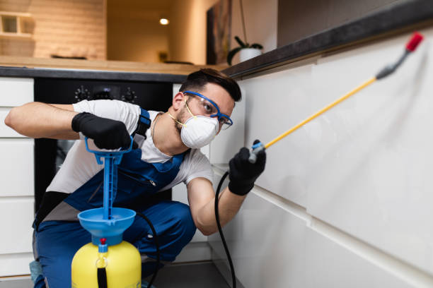 Best Pest Removal Services  in Palm Springs, CA