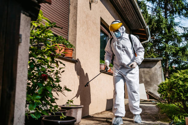 Best Bird Control  in Palm Springs, CA