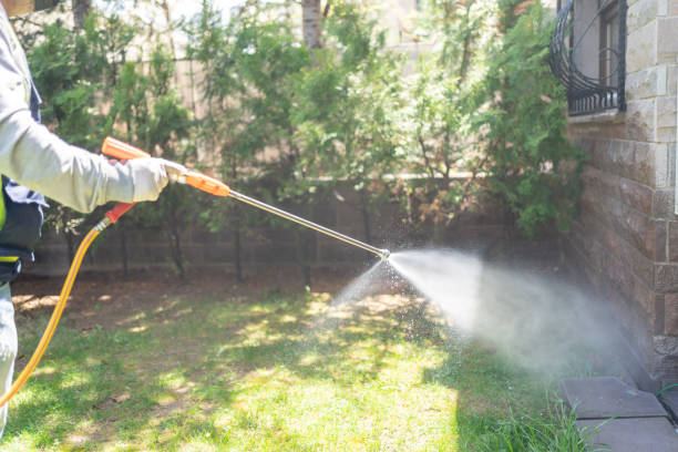 Best Exterminator Services  in Palm Springs, CA