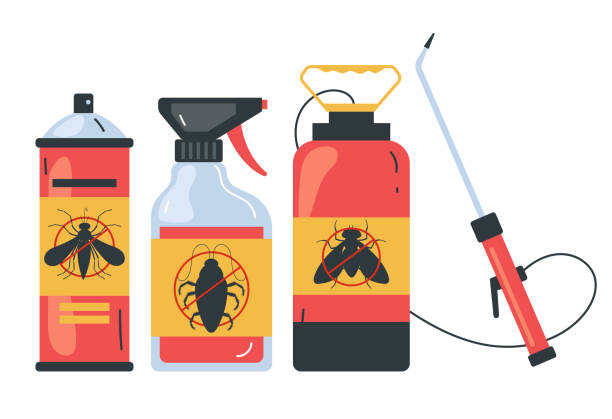 Best Spider Control Near Me  in Palm Springs, CA