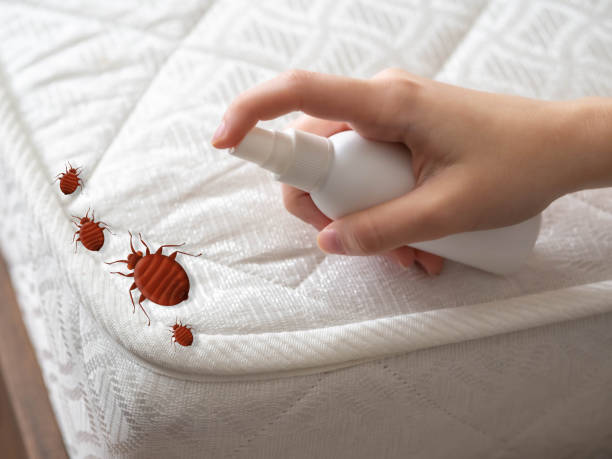 Best Pest Prevention Services  in Palm Springs, CA