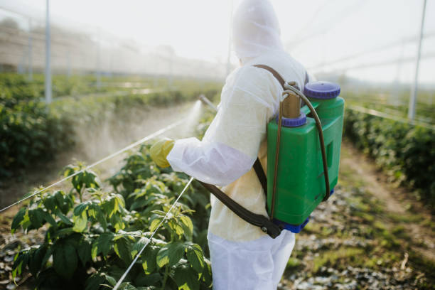 Best Ant Control Services  in Palm Springs, CA